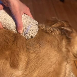 Waermetherapie-web